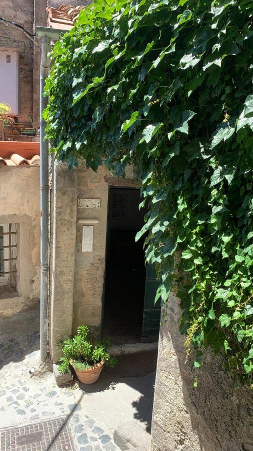 La Casa Sul Lago Anguillara Sabazia Exterior photo
